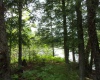 on Birchwood Lane, Townsend, Wisconsin 54175, ,Waterfront,Waterfront,Birchwood,1129