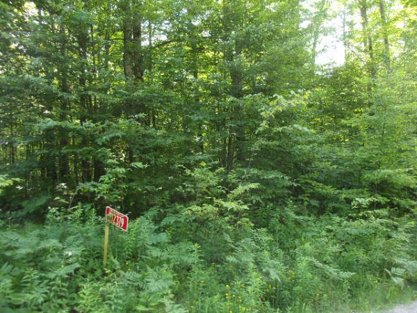 On Red Rock Road, Silver Cliff, Wisconsin 54104, ,Lot,Lots For Sale,Red Rock Road,1131